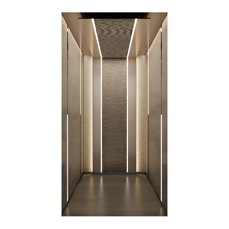 traction home elevator